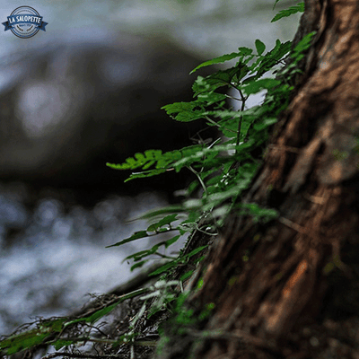 Salopette Nature